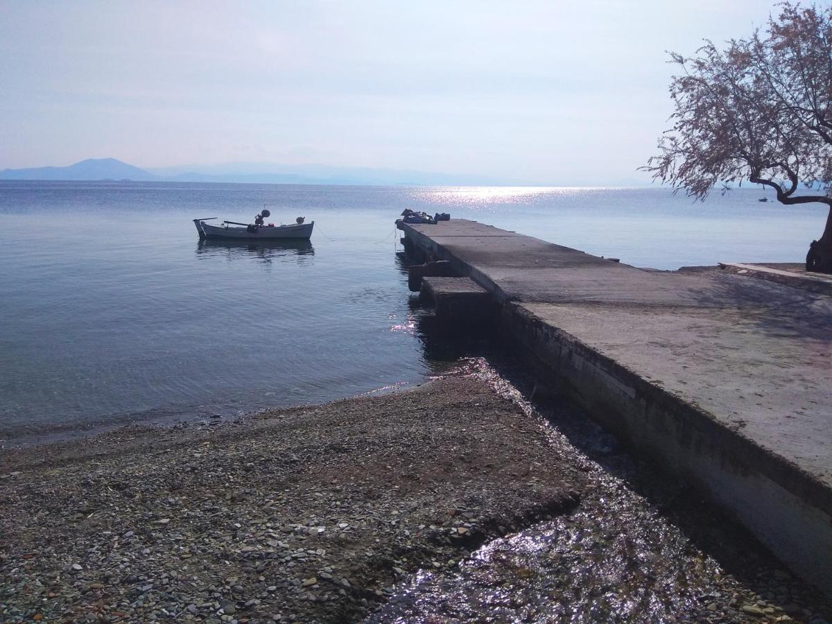 Marina Traditional Stonehouse Afetai Exterior foto